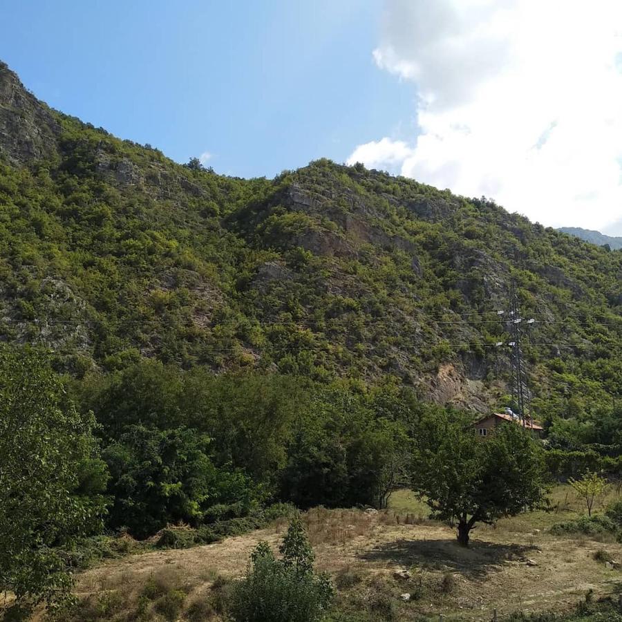 The Brothers Villa Hotel Ohrid Exterior foto